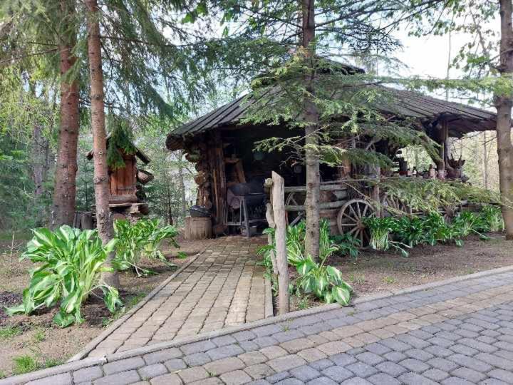 Dom Goscinny Efka Kościelisko Εξωτερικό φωτογραφία